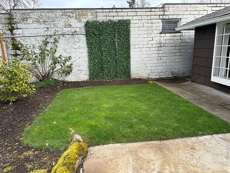 2484 Alder St — Photo 35