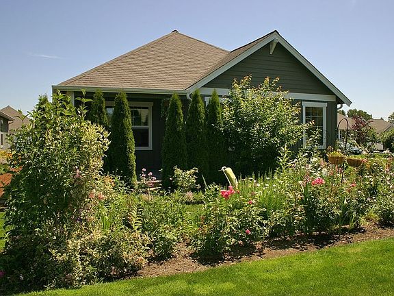 Exterior Back & Yard