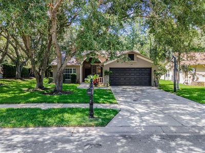 1799 Bayhill Dr, Oldsmar, FL, 34677