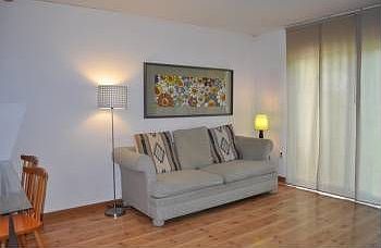 5th image of 288 Palombi Ct