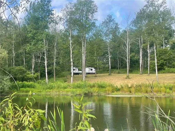 7774 Scenic View Dr, Springwater, NY 14560