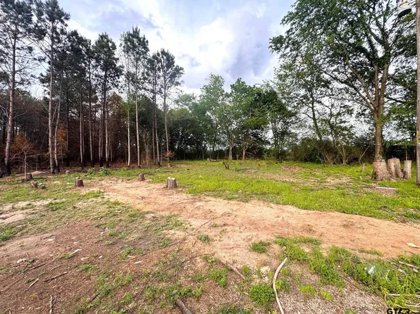 215 County Road 4205, Naples, TX 75568