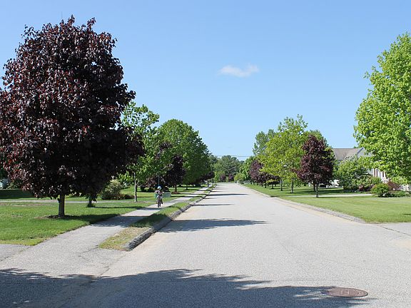 View of Patterson Drive