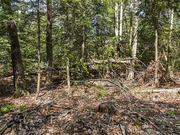 5th image of LOT 50 N Cherry Beach Ct