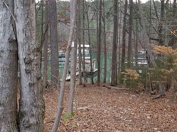 5th image of 1990 Morgan Way Lot 1