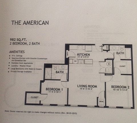 The American