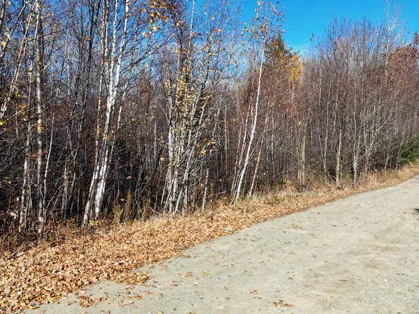 Lot 4 Spaulding  Lane, Lee, ME 04455