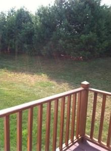 40 Bagnell Dr, Pembroke, MA, 02359