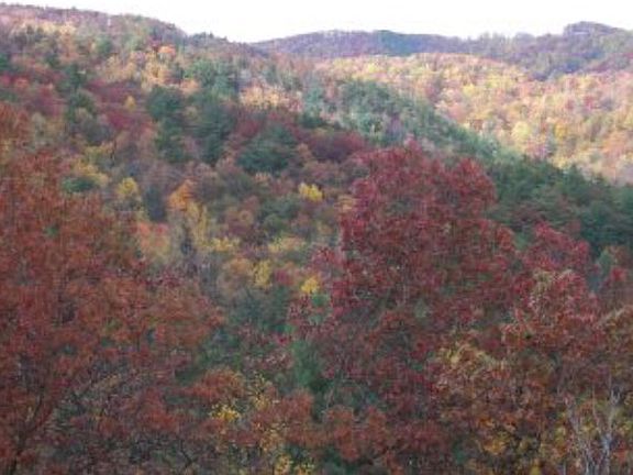 3rd image of 3110 Powder Horn Mountain Rd