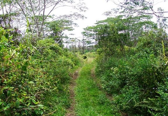 5th image of Road 10 Poouli Lot 5769