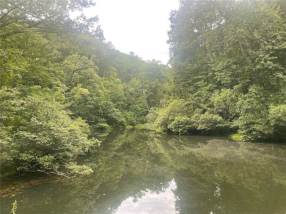 3rd image of 311 Mountain Lake Ln
