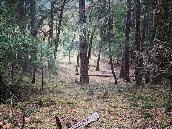 2nd image of 31797 State Highway 36 #Out