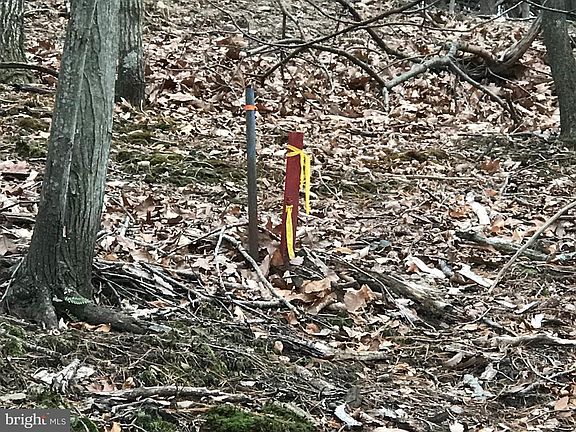 5th image of 2231 Wynonah Dr