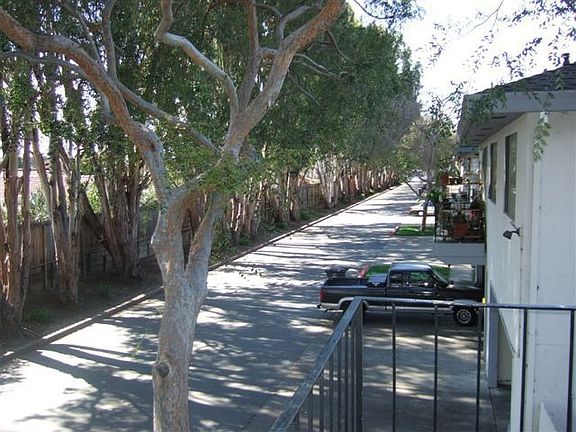 5th image of 34855 Starling Dr APT 4