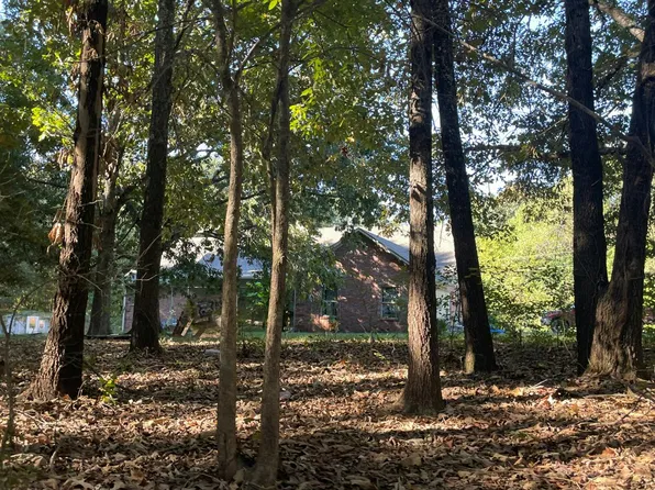 3195 County Road 323, Bono, AR 72416