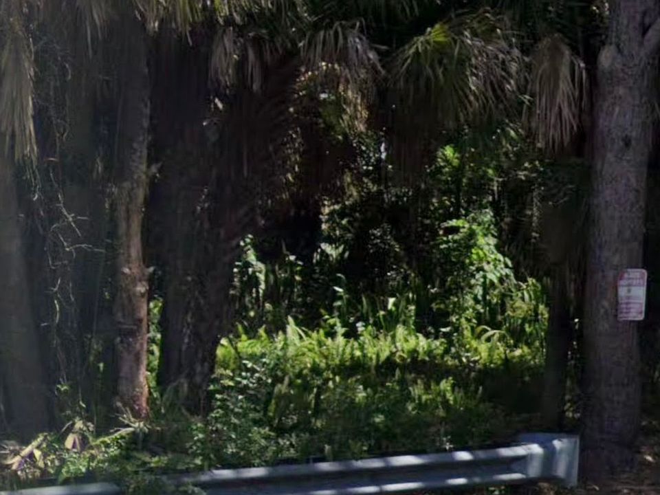 2nd image of 48 Wisteria Rd