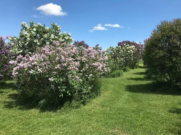 0 Longview Dr, Edmeston, NY 13335