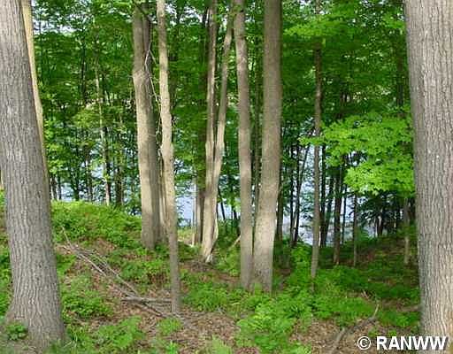4th image of Lot 1 Flambeau Road