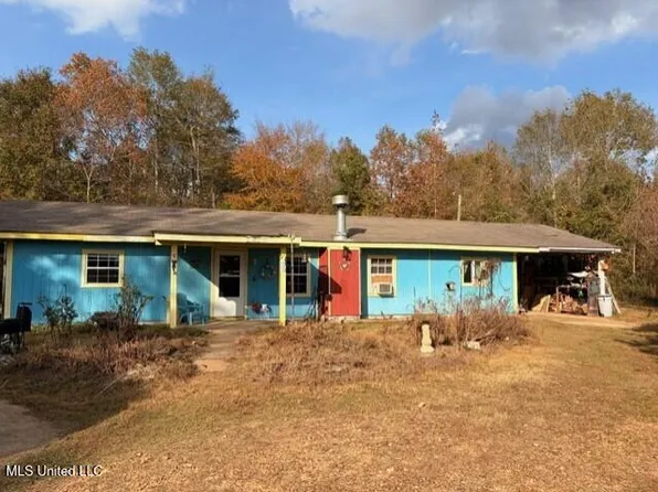 1733 Smith County Rd #581, Raleigh, MS 39153