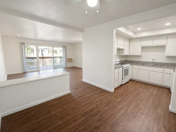 Daisy Apartments