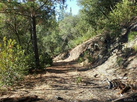 2nd image of 14100 Pine Gulch Rd