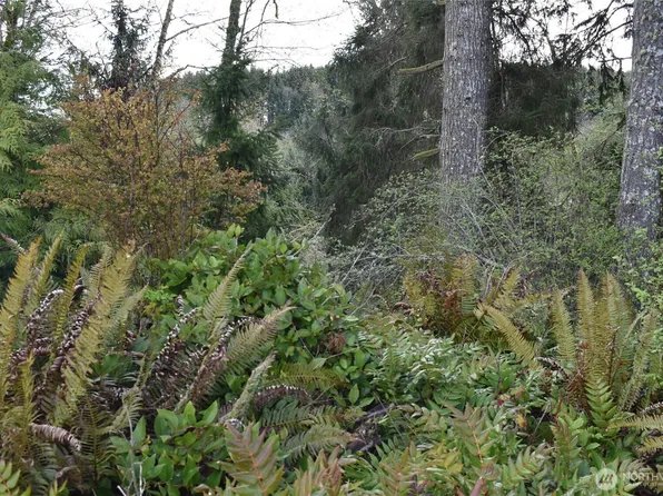 0 Lot 14 E Twin River, Port Angeles, WA 98363
