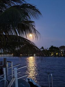 1108 NW 30th Ct, Wilton Manors, FL, 33311