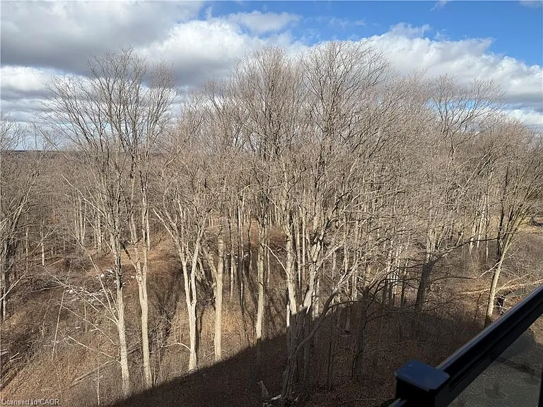 1100 Lackner Pl #521 — Photo 27