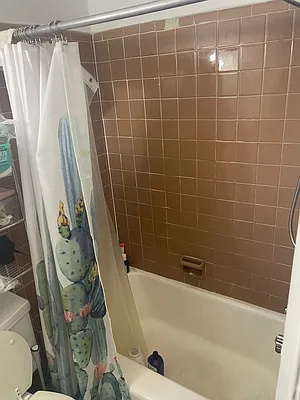 Rented by St. James Realty | media 13