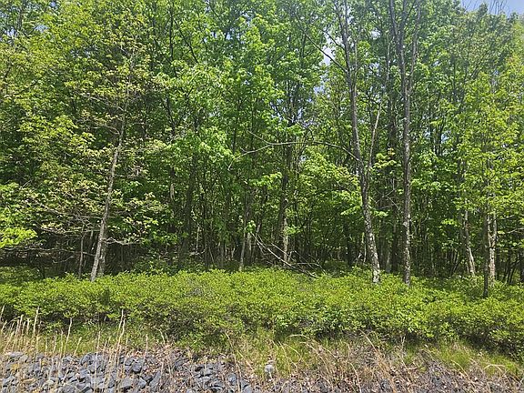 2nd image of Lv Corner Mountain Laurel & Dogwood Dr Lot 52