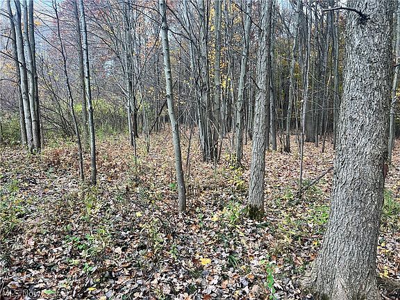 2nd image of Marrian Rd