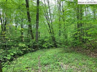 59 Rhoneys View Rd, Newland, NC 28657