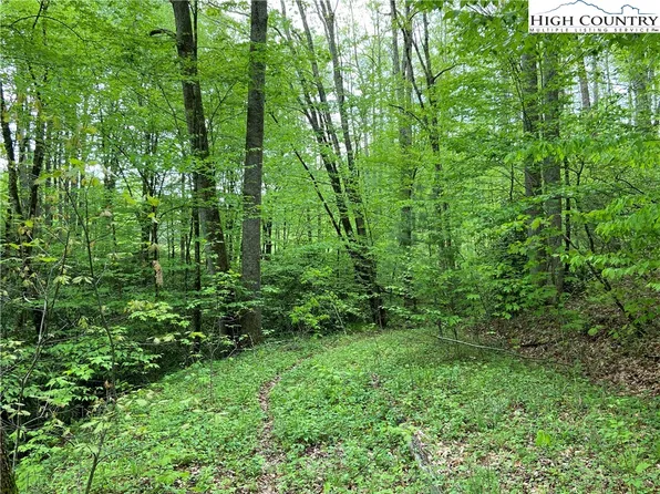 Lot 59 Rhoneys View Road, Newland, NC 28657