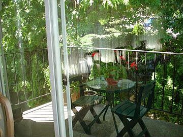Deck off dining room is private and in the trees!