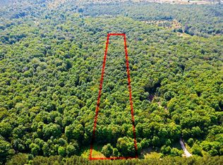 V/l Ne Wheeler Lake Rd, Mancelona, MI 49659