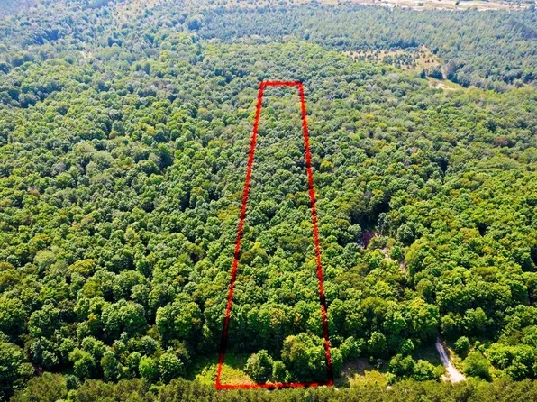 V/l Ne Wheeler Lake Rd, Mancelona, MI 49659