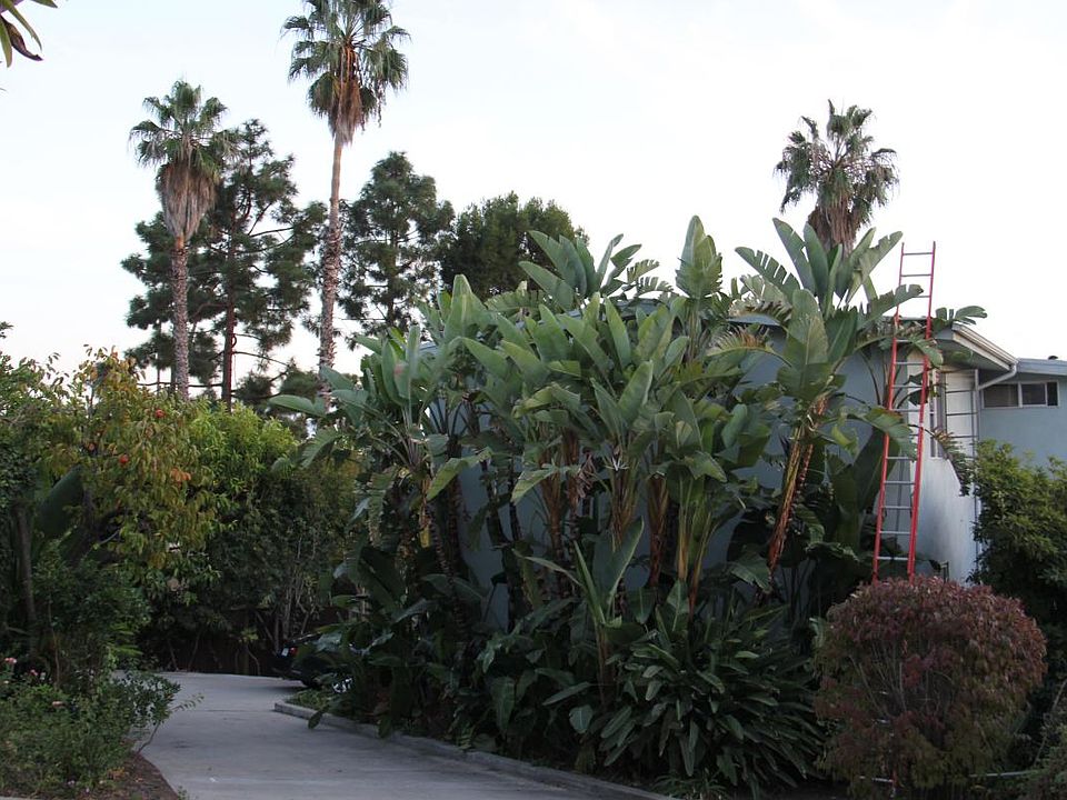 1st image of 726 E Micheltorena St #Ab
