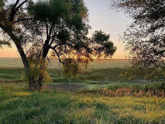 3rd image of 12101 Alembic Rd