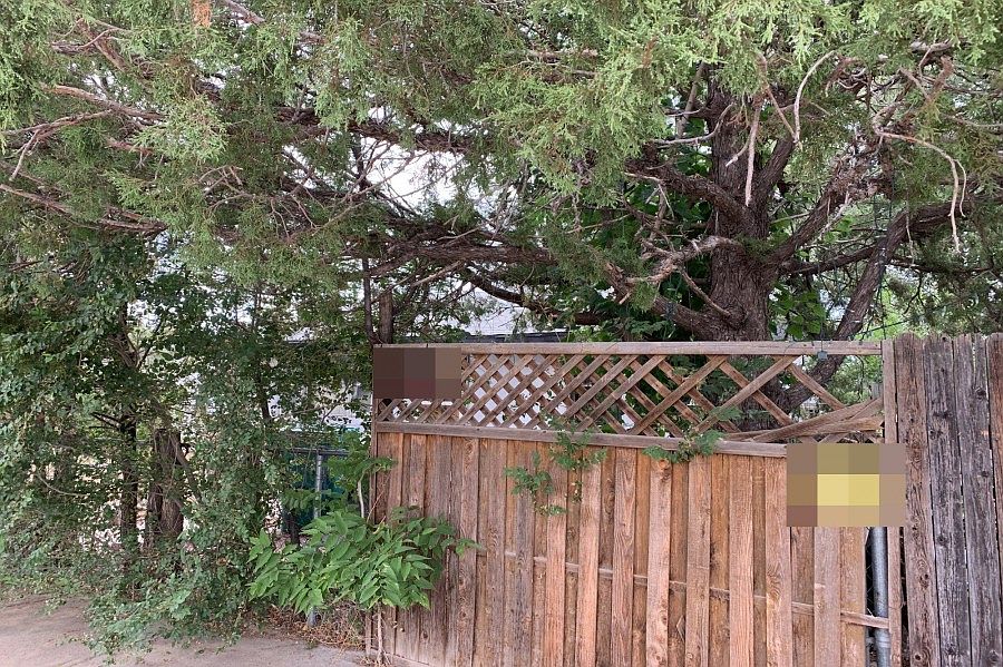 1st image of 3608 Saint Vrain St