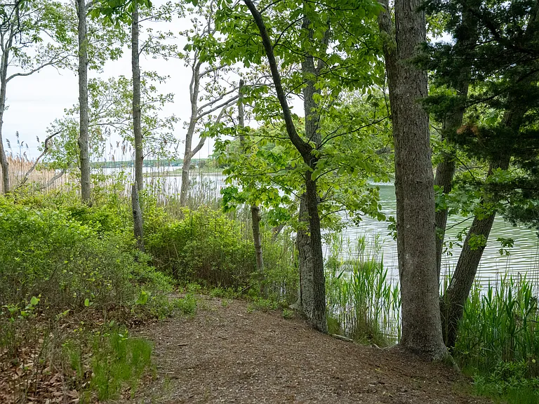 24 Clamshell Ave — Photo 18