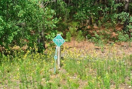 4th image of LOT 70 Grandview Trl