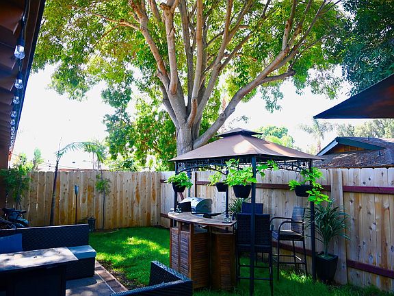 Tiki under the huge Oak Tree- is it an Oak? Let me know!