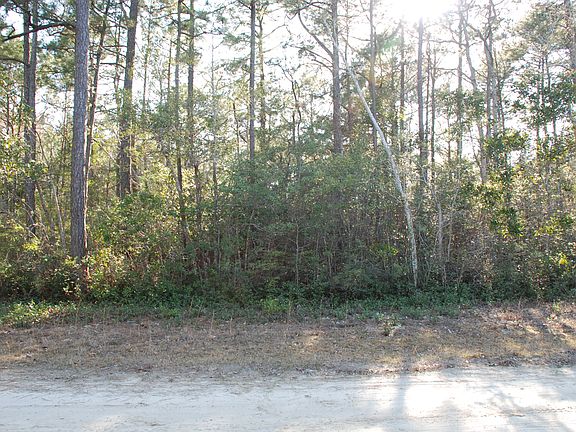 Wooded Lot