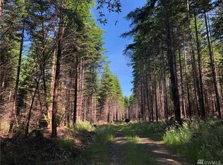 14 Wynooche Valley Rd, Montesano, WA 98563