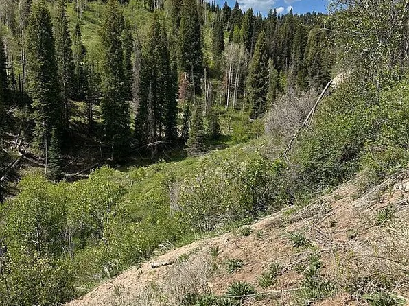 2183 S Forest Meadow Rd, Coalville, UT 84017