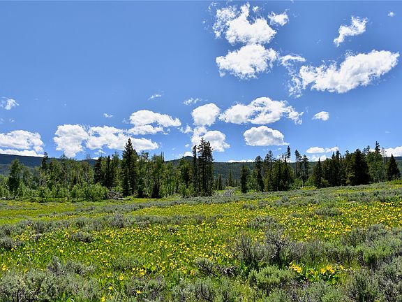 3rd image of 195 Halter Trail