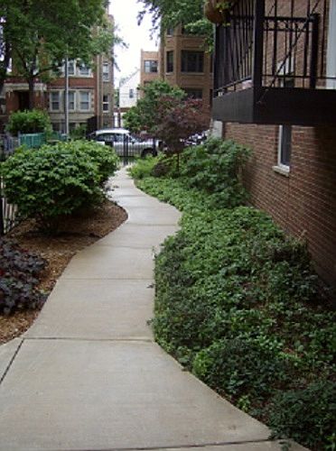 1st image of 1237 W Carmen Ave #1S
