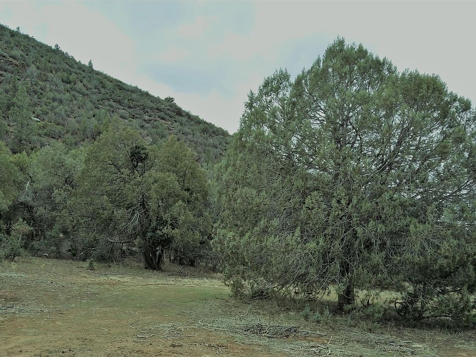 1st image of 288 N Flowing Springs Dr