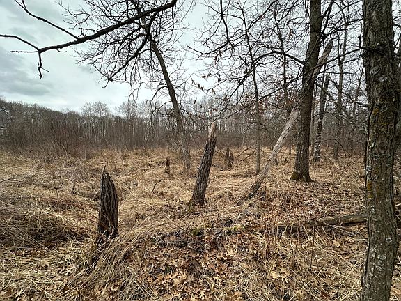 4th image of LOT 25 County Road 11