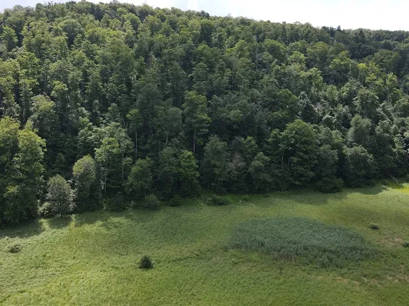 0 Alderbottom Rd #17, Conewango Valley, NY 14726